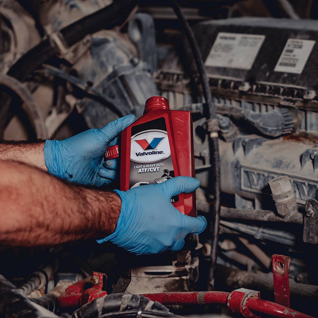 valvoline atf cvt fluid